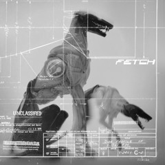 FETCH