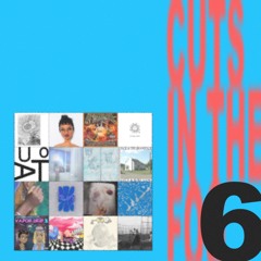 CUTS IN THE FOG 06 - “On Monotonic” - 05-25-25