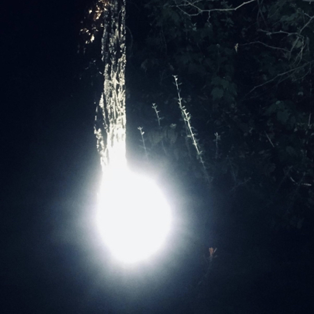 Encounter