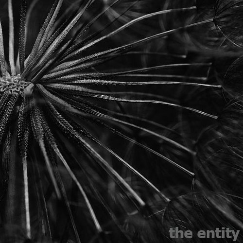 The 2nd Gate Of Dreams - The Entity