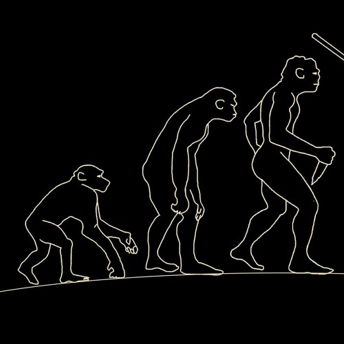 Fuze x Flix - EVOLUTION