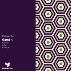 PREMIERE: Gambit - Phillosopher (Original Mix) [AH Digital]