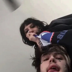 rip peep prod birdbusinness