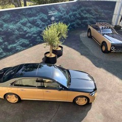 Circadian Rhythm Freestyle