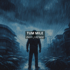 Tum Mile (Papi J Remix)