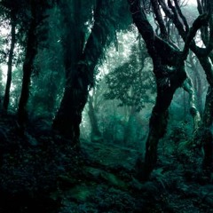 Hidden Tribe