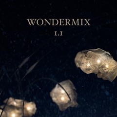 WONDERMIX ver1.1