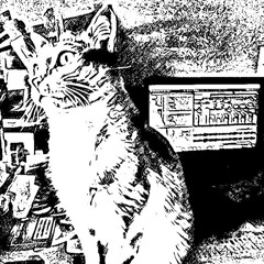 D'Mike - My Funky Cat