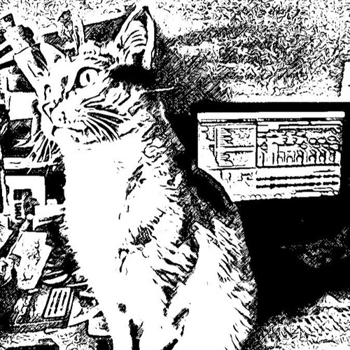 D'Mike - My Funky Cat