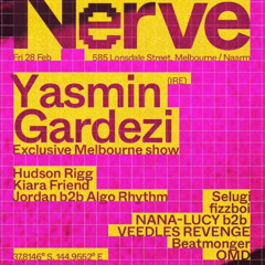 fizzboy @ nerve x absolver | 28.02.25