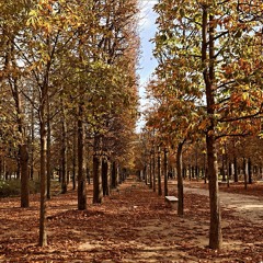 dreamin' feels v2 (feb 2021)