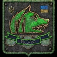 S.T.A.L.K.E.R. Clear Sky - Freedom Radio