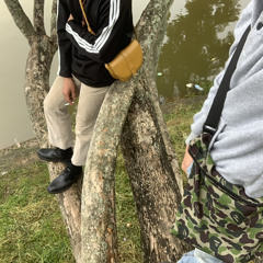 took it - Vcol&Friendly