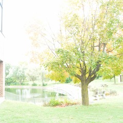 Anti Personality disorder