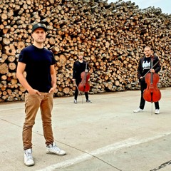 Voiceless - Eye Of The Panther