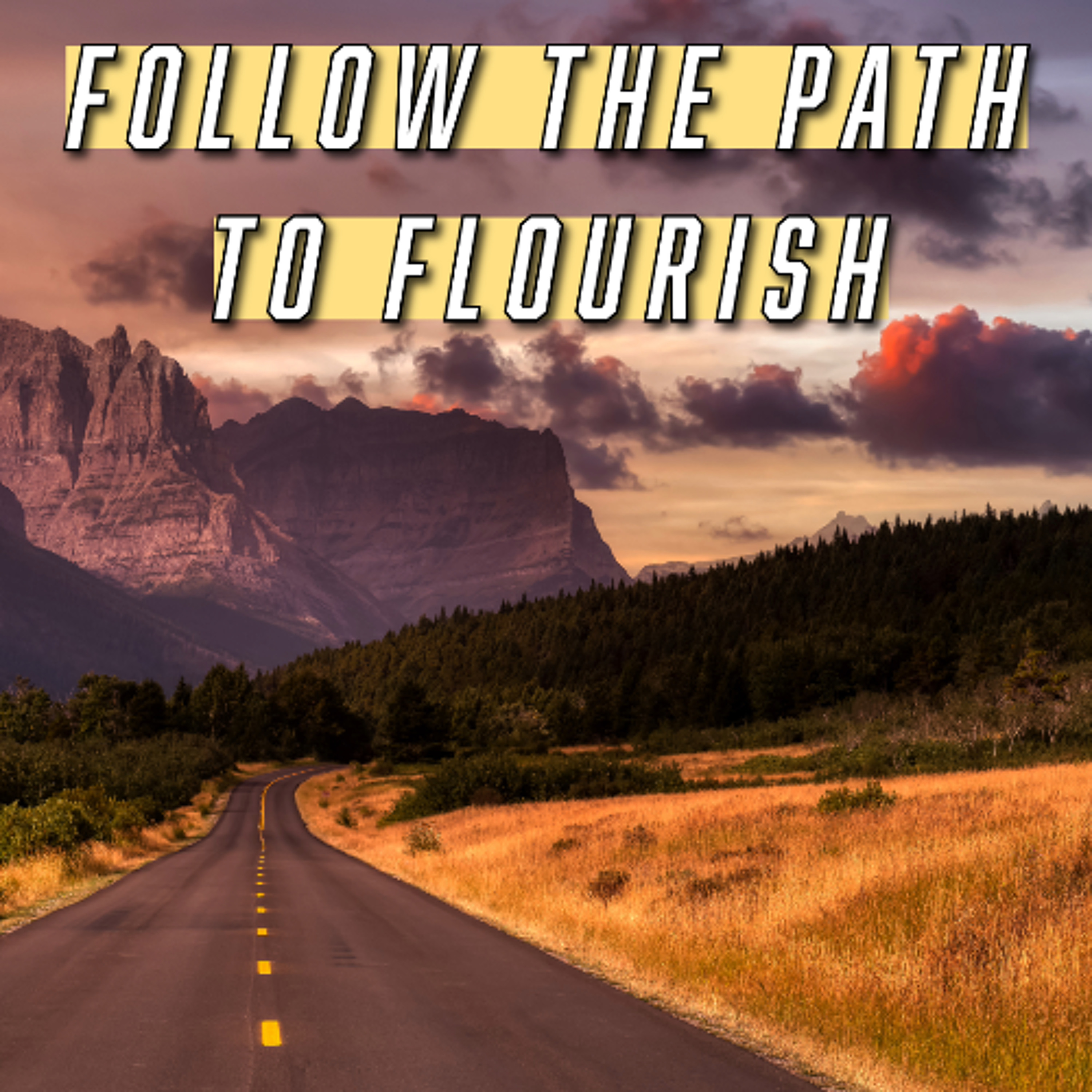 Should I Stay or Should I Go|Follow The Path to Flourish