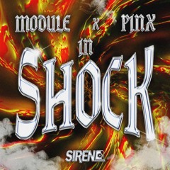 Module X Pinx - In Shock