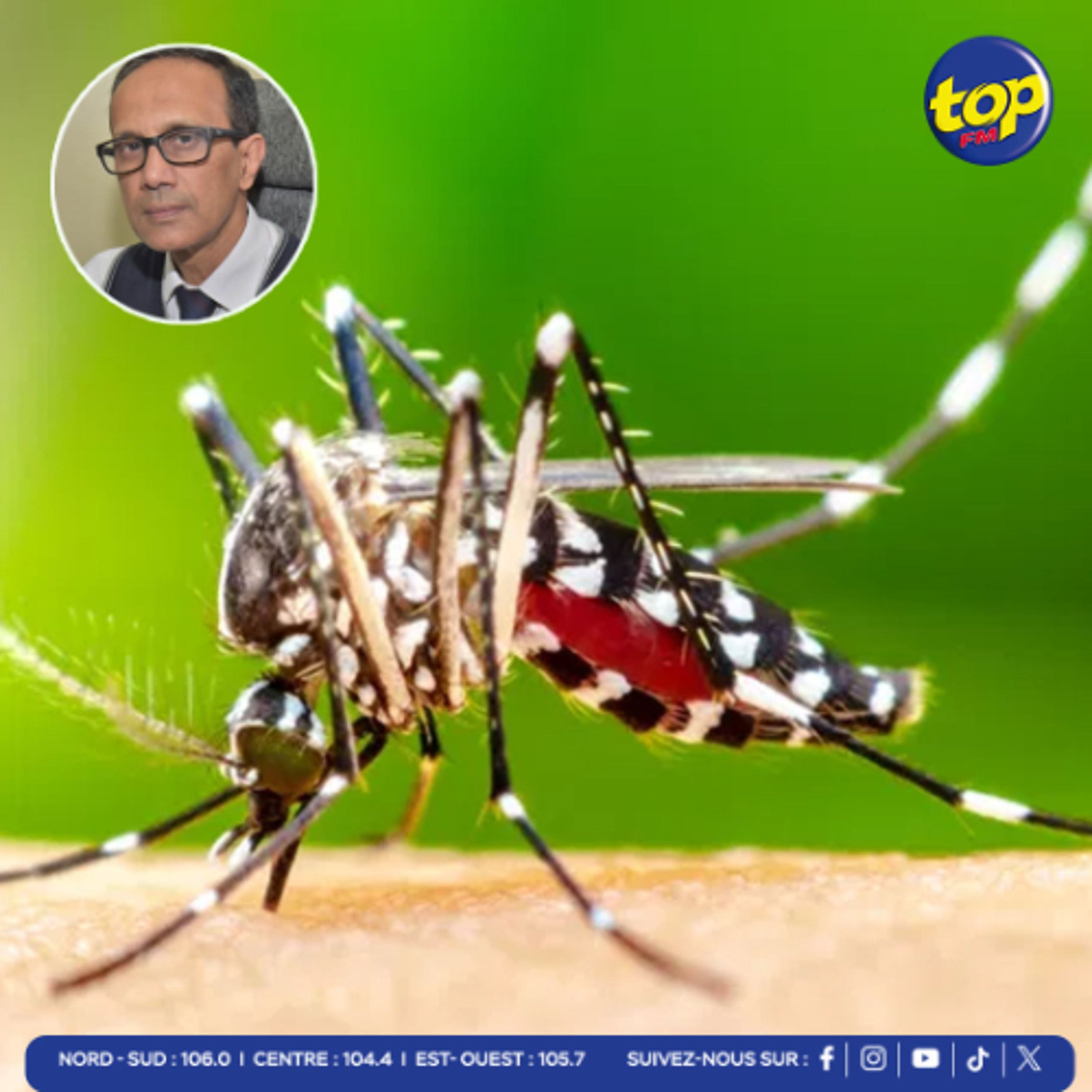 Dengue : 11 cas actifs à Maurice, fumigation et suivi en cours