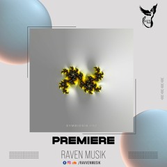 PREMIERE: Naeiiv - Hide Your Eyes (Original Mix) [Impressum]