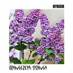 Orangereya #02: Syringa