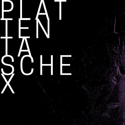 Plattentasche X
