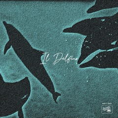 DC Promo Tracks: Lab Infinity ft. Nina K. "Il Delfino" (Original Mix)