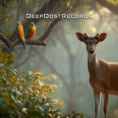 Secoia - Kaç Kuzulu Ceylan