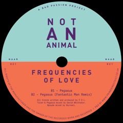 FREQUENCIES OF LOVE - PEGASUS [FANTASTIC MAN REMIX]