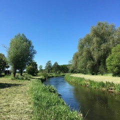 let us go the openness