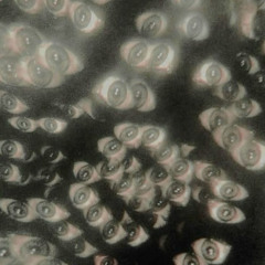 12062025