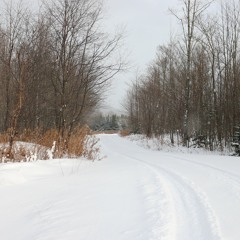 Experience, Let Go, and Heal - Soryu Forall