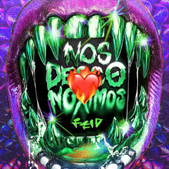 FEID - NOS DESCONOXIMOS (The Ironix Remix)