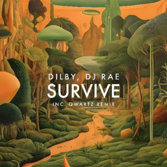 Dilby, DJ Rae - Survive-Viva Music