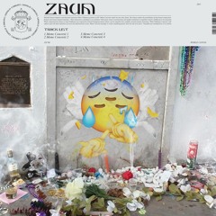 Zaum - Meme Concréte 1