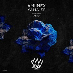 Amiinex - Crazy Tools (Original Mix)
