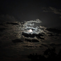 Moonlight