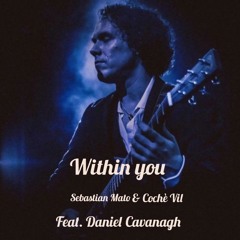 Within You (feat. Daniel Cavanagh)