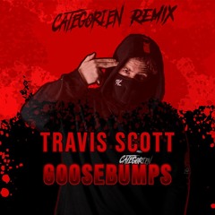 Travis Scott - Goosebumps (CategorieN Remix) EXTENDED