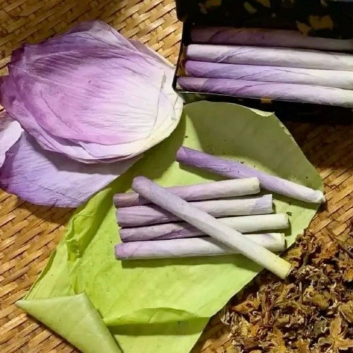 Night Gwalla & Perc Session