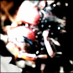 PARTICLES