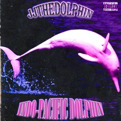 INDO PACIFIC DOLPHIN