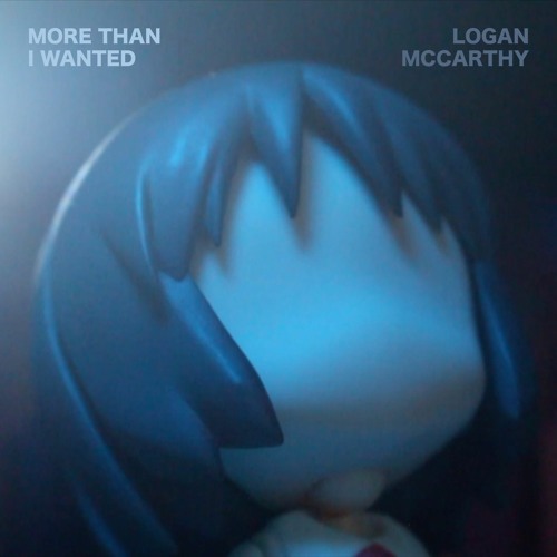 More Than I Wanted