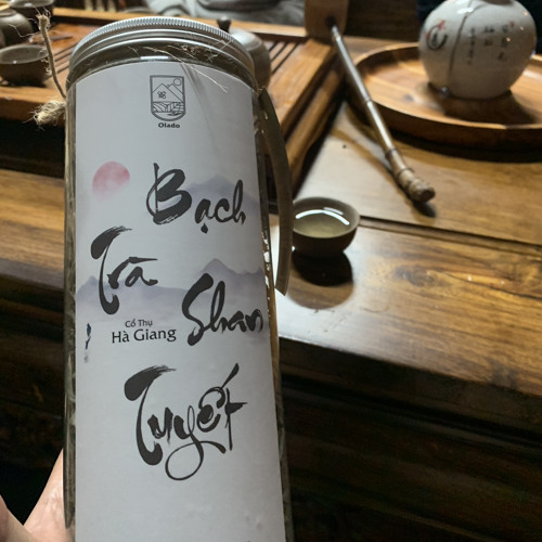 HAPPY NEW YEAR 2025 | RIO | HOUSELAK |