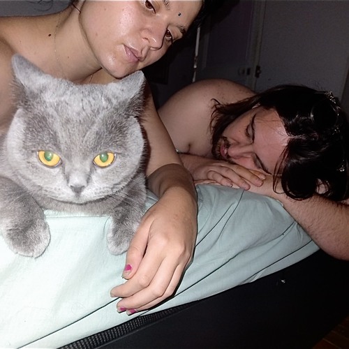 o7 - 17 missed calls (=^・ェ・^=))ノ彡☆