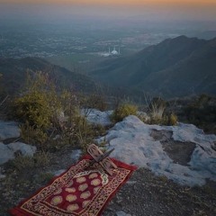 تلاوات مفضلة