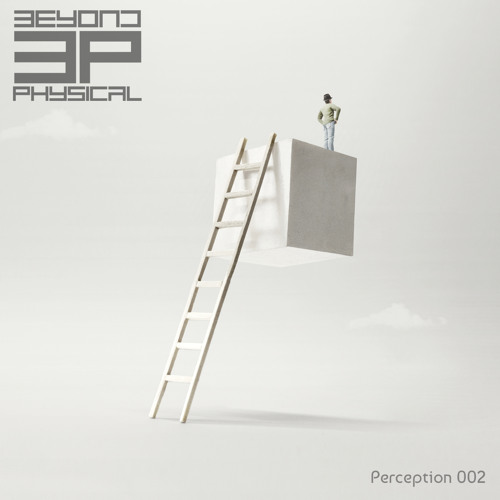 BEYOND PHYSICAL - PERCEPTION PODCAST 2