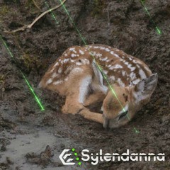 Sylendanna - Not Around Instrumental (on Spotify & Apple Music!)