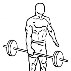 Personal Training / Coaching online und in Hannover
