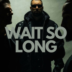 Swedish House Mafia,Martin Garrix-Wait So Long x Lions In The Wild (Andrew_Voul Mashup)