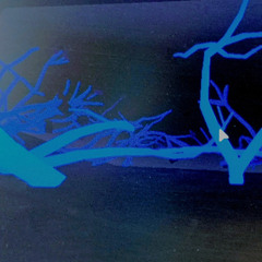 Now that its done (prod. xenshel & gusuck)